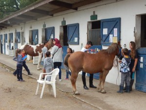 Atelier soins aux chevaux